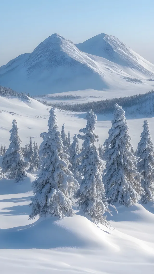 Snow, Winter, Mountainous landforms, Mountain, Glacial landform, geological phenomenon, Freezing, Mountain range, Terrain, Frost, Alps, Hill station, Ridge, Ice cap, Summit, Slope, Glacier, Massif, Arctic, Larch